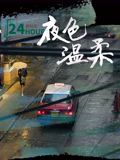 夜色温柔(全集)