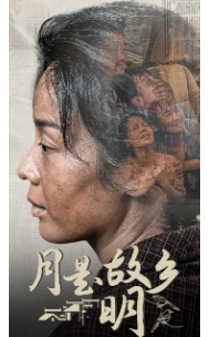 月是故乡明42集(全集)