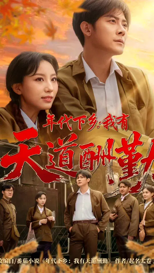 年代下乡我有天道酬勤(全集)