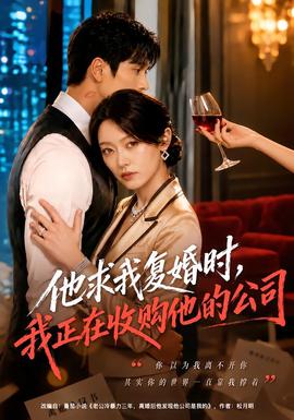 他求我复婚时，我正在收购他的公司(全集)